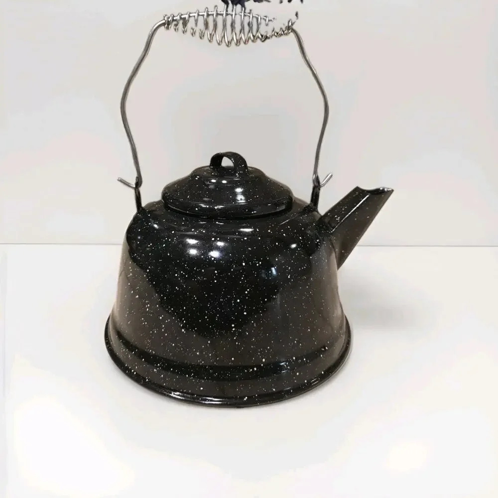 Frida Kahlo Tea Kettle Special Edition Enameled Steel With Lid Mexico 2.3L NoBox